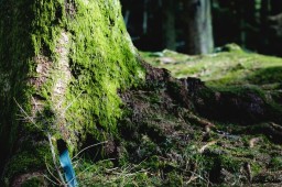 La chaudière à bois bûches appartient à la famille des chaudières biomasse