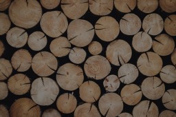 Des bûches de bois pour votre chauffage